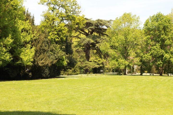 Chateau Castelrives Bessières Exterior foto