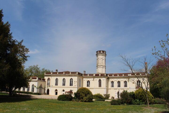 Chateau Castelrives Bessières Exterior foto
